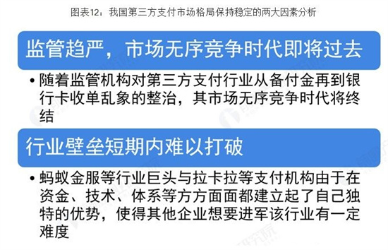 预见2019《2019中国第三方支付产业全景图谱》 (12).jpg