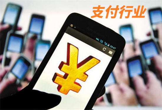 支付行业 (9).png
