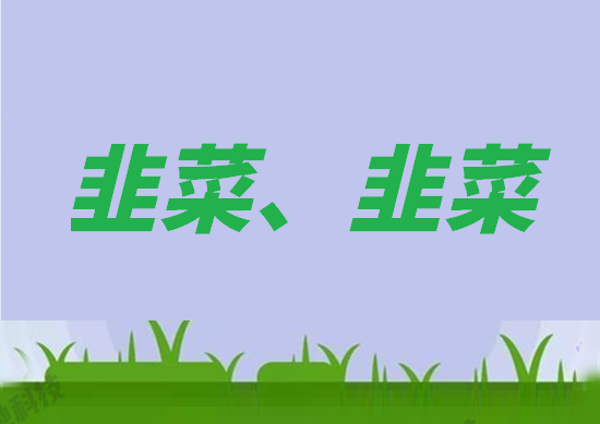 韭菜 (2).png